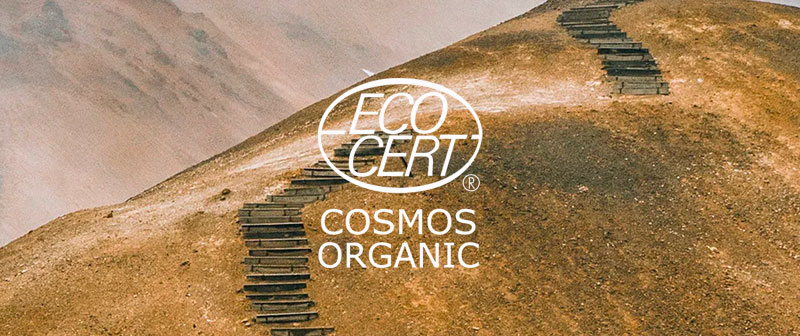 Linea Cosmo