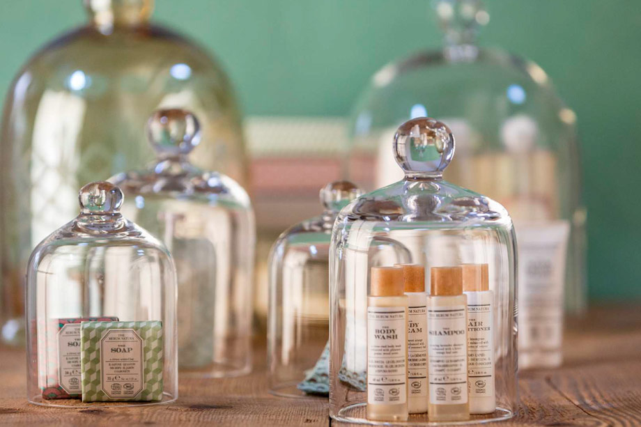 linea rerum natura