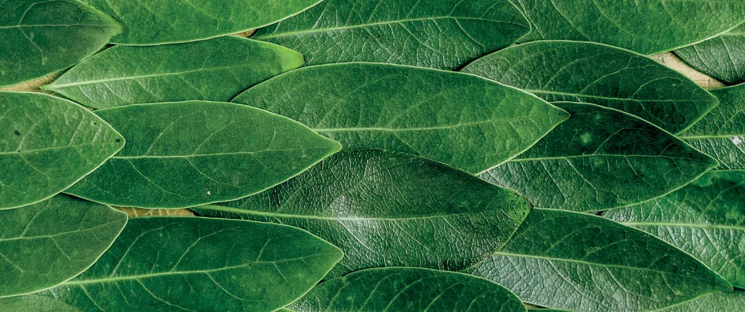 Certificazione Nordic Ecolabel