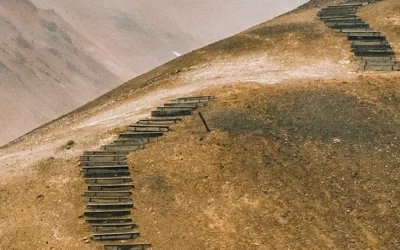 Certificazione Cosmos Organic