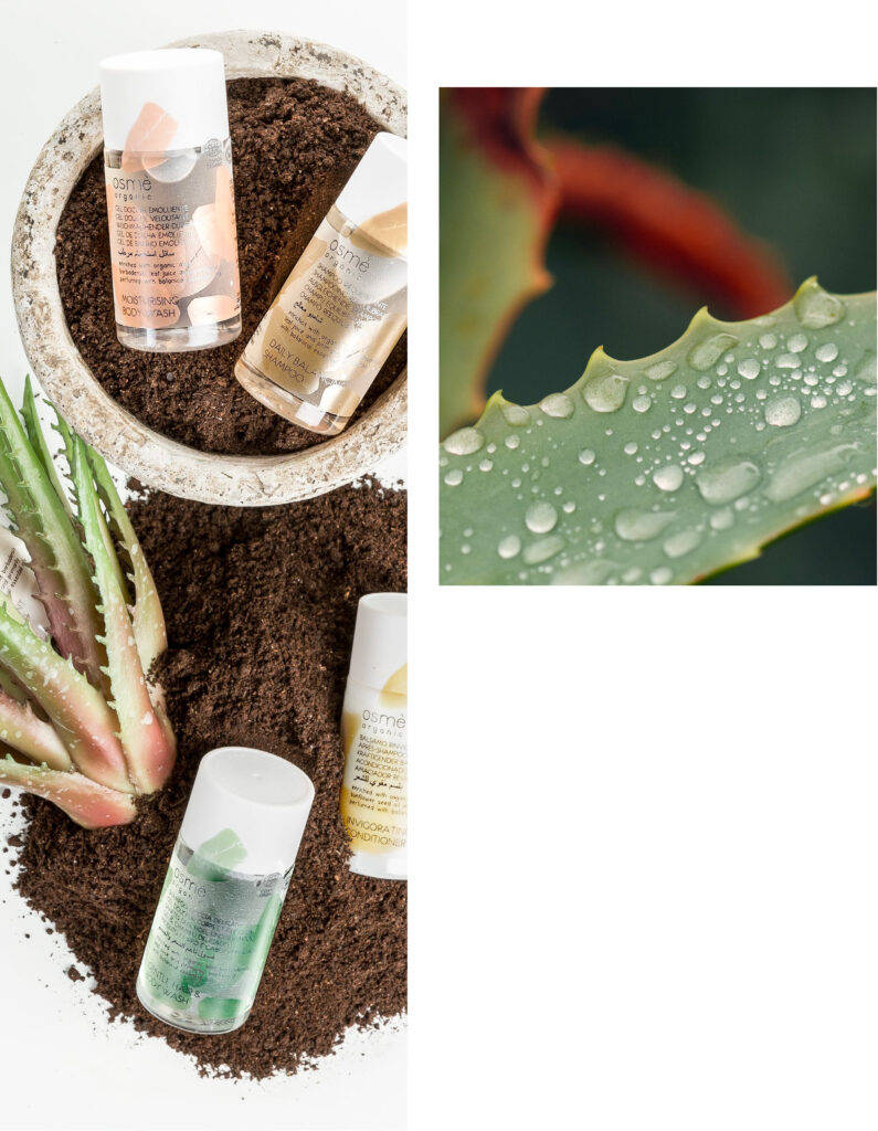 linea cortesia green